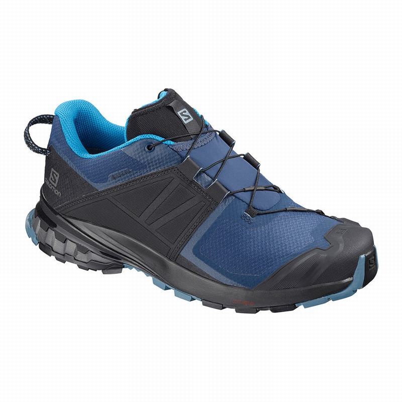 Buty Do Biegania W Terenie Męskie Salomon XA WILD GORE-TEX - Niebieskie / Czarne - Polska (890-BIYHJ